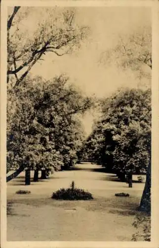 Ak Wien 1 Innere Stadt, Theresianische Akademie, Park