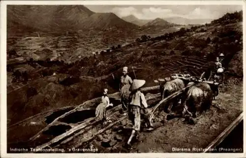 Ak's Gravenhage Den Haag Südholland, Indische Tentoonstelling, Diorama-Rijstvelden