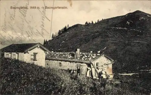 Ak Vorarlberg Österreich, Baumgarten, Baumgartenalm