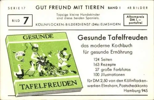 Sammelbild Gut Freund mit Tieren, Serie 17 Band 1 Bild 7 Hundekinder, Spaniels