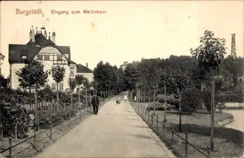 Ak Burgstädt in Sachsen, Wettinhain