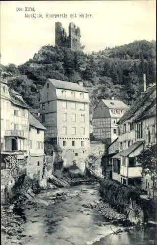 Ak Monschau Montjoie in der Eifel, Roer mit Haller