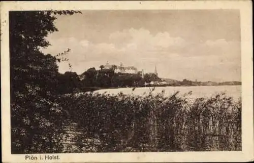 Ak Plön in Holstein, Blick über die Bucht zum Ort, Schilf