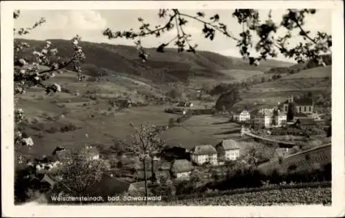 Ak Welschensteinach Steinach im Schwarzwald, Panorama