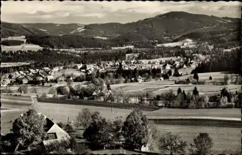 Ak Hinterzarten im Schwarzwald, Panorama