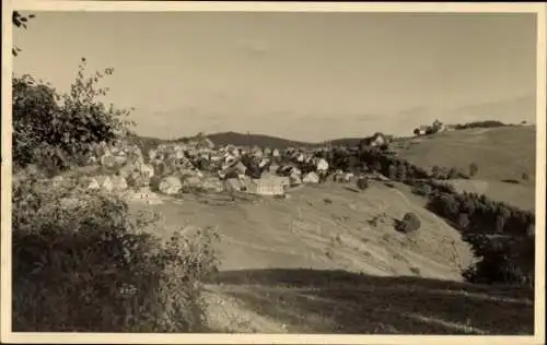 Ak Sankt Andreasberg Braunlage im Oberharz, Panorama