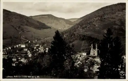 Ak Todtnau im Schwarzwald, Panorama