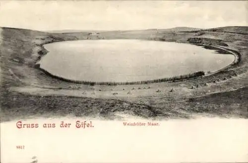 Ak Schalkenmehren in der Eifel, Weinfelder Maar