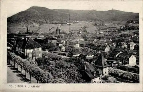 Ak Neustadt an der Haardt Neustadt an der Weinstraße, Panorama