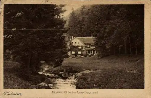 Ak Tabarz im Thüringer Wald, Massemühle im Lauchagrund, Massenmühle