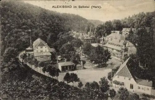 Ak Alexisbad Harzgerode am Harz, Gesamtansicht