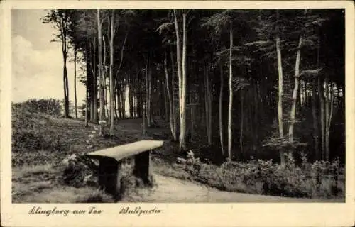 Ak Klingberg Scharbeutz in Ostholstein, Wald, Bank