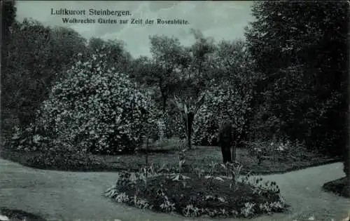 Ak Steinbergen Rinteln an der Weser, Wolbrechts Garten zur Rosenblüte