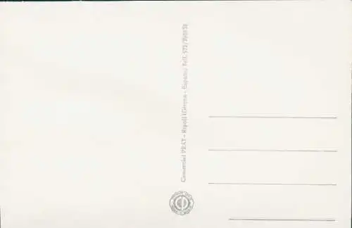 Stoff Ak Spanische Tracht, Frau-Portrait, Perlen, Schleier, Rose