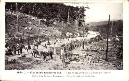 Ak Rio Grande do Sul Brasilien, Route près colonie Ljuhy