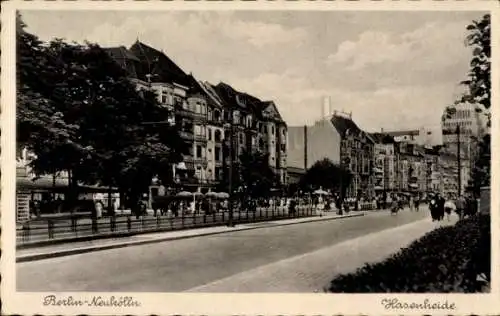 Ak Berlin Neukölln, Hasenheide, Straßenpartie