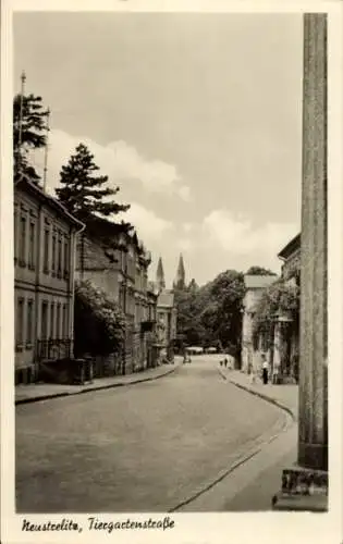 Ak Neustrelitz in Mecklenburg, Tiergartenstraße