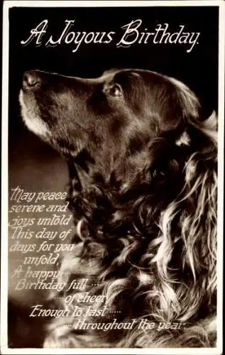 Ak Glückwunsch Geburtstag, Tierportrait, Hund