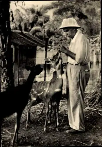 Ak Albert Schweitzer bei seinen Antilopen