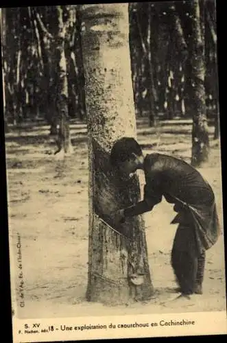 Ak Cochinchine Vietnam, Kautschuk-Ernte, Vietnamese