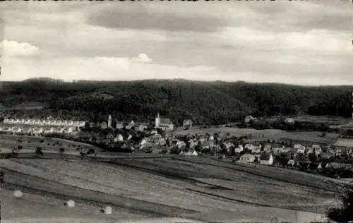 Ak Ramsen in der Pfalz, Gesamtansicht