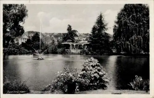 Ak Zweibrücken in der Pfalz, Rosengarten