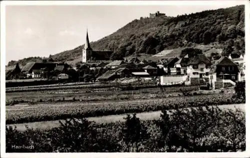 Ak Hambach Neustadt an der Weinstraße, Blick auf den Ort mit Maxburg