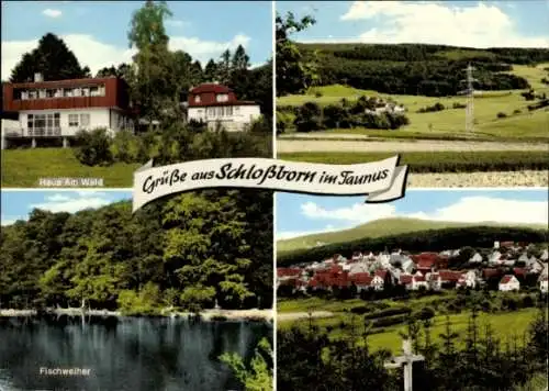 Ak Schloßborn Schlossborn Glashütten im Taunus, Haus am Wald, Fischweiher, Teilansicht