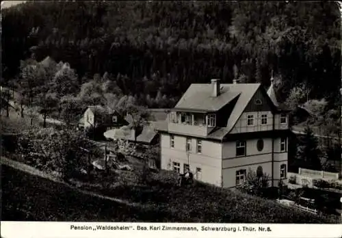 Ak Schwarzburg in Thüringen, Pension Waldesheim