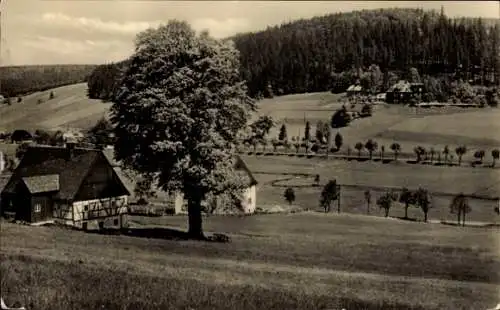 Ak Rehefeld Zaunhaus Altenberg im Erzgebirge, Teilansicht