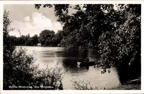 Ak Berlin Weißensee, Am Weißensee