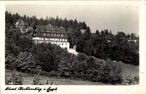 Ak Oberbärenburg Altenberg im Erzgebirge, Häuser, Wald