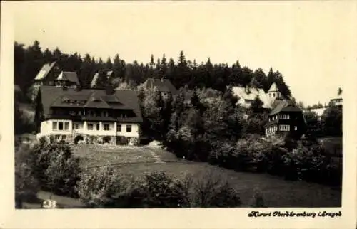 Ak Oberbärenburg Altenberg im Erzgebirge, Häuser, Wald