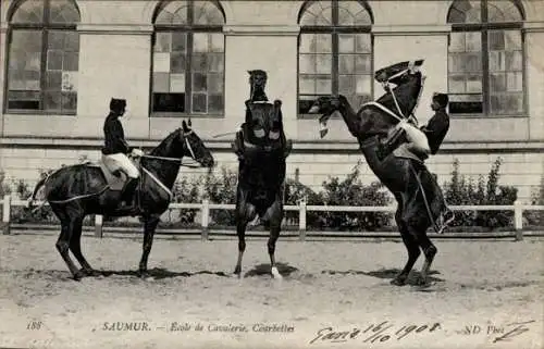Ak Saumur Maine et Loire, Ecole de Cavalerie, Courbettes