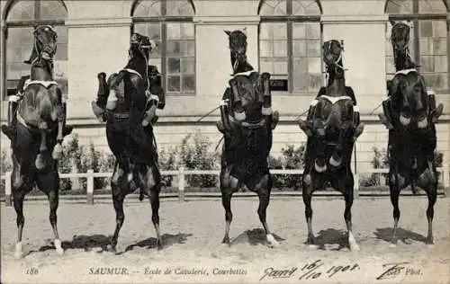 Ak Saumur Maine et Loire, Ecole de Cavalerie, Courbettes