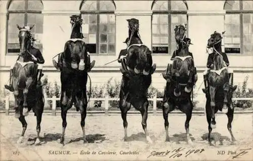 Ak Dressur Saumur, École de Cavalerie, Courbettes