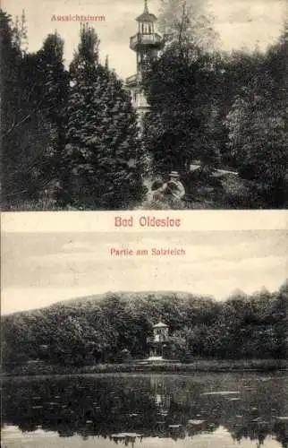 Ak Bad Oldesloe in Holstein, Aussichtsturm, Partie am Salzteich