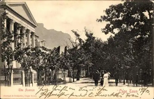 Ak Kapstadt Südafrika, Avenue