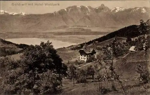 Ak Goldiwil Thun Kanton Bern Schweiz, Hotel Waldpark