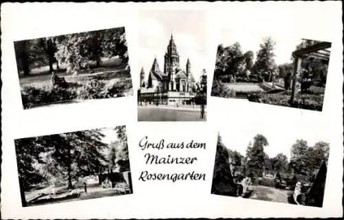 Ak Mainz am Rhein, Rosengarten, Kirche