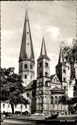 Ak Bonn am Rhein, Münster