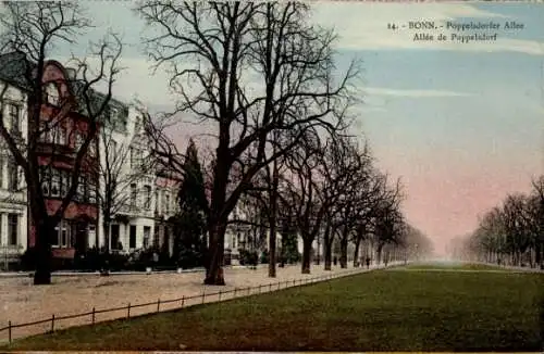 Ak Bonn am Rhein, Wohnviertel in der Poppelsdorfer Allee