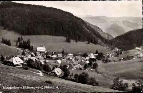 Ak Muggenbrunn Todtnau im Südschwarzwald, Teilansicht