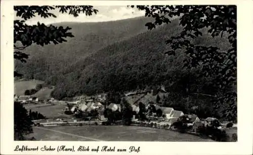 Ak Sieber Herzberg am Harz, Blick auf Hotel zum Pass