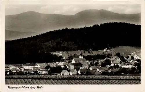 Ak Ruhmannsfelden im Bayerischen Wald, Gesamtansicht