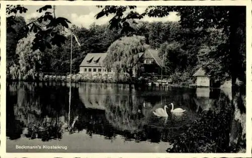 Ak Neukloster Buxtehude im Kreis Stade, Beckmann's Klosterkrug, See, Schwäne