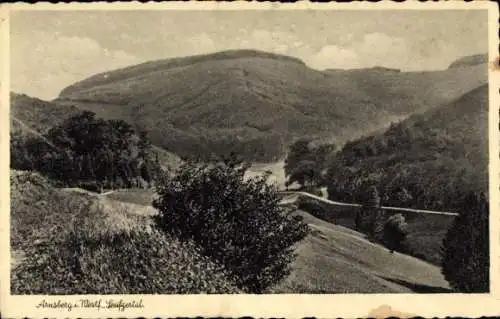 Ak Arnsberg im Sauerland Westfalen, Seufgertal, Panorama