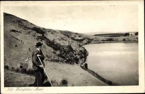 Ak Schalkenmehren in der Eifel, Weinfelder Maar