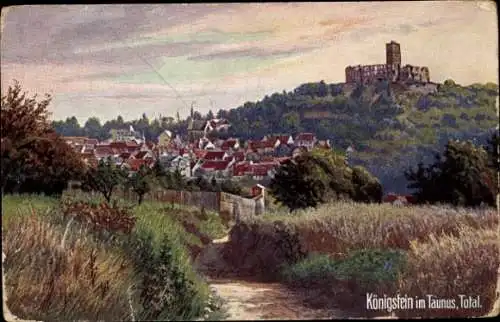 Ak Königstein im Taunus, Totalansicht, Burg