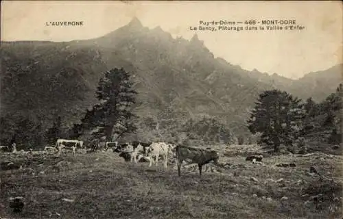 Ak Le Mont Dore Puy de Dôme, Le Sancy, Paturage dans la Vallee d'Enfer